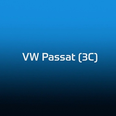 VW Passat brake test video