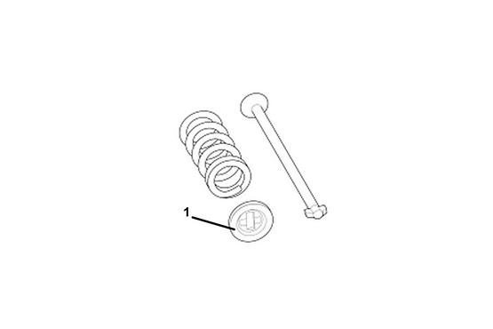 Fig. 1 Shoe steady spring with lock plate