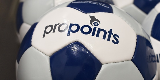 proPoints ball