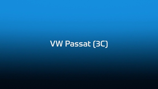 Brake test bench video - VW Passat